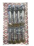 Transom/Engine Bolt Kit : Set of 8