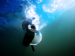 Power-Pole MOVE Stainless Steel TECHFLOW ® PROPELLER